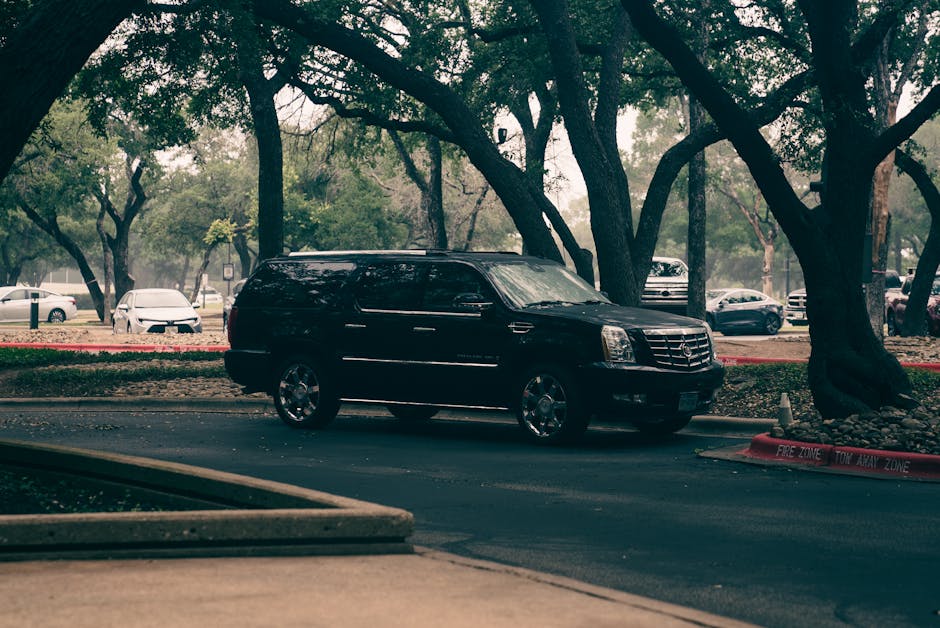 escalade limos