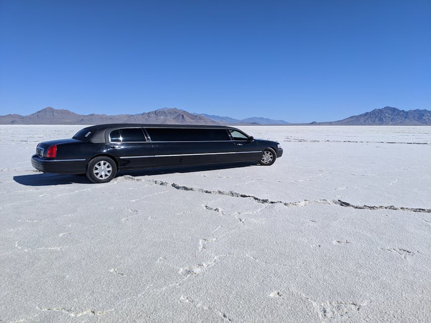 premium limousine options