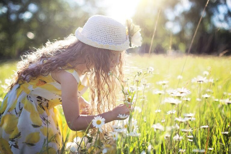 picking flowers, daisies, child