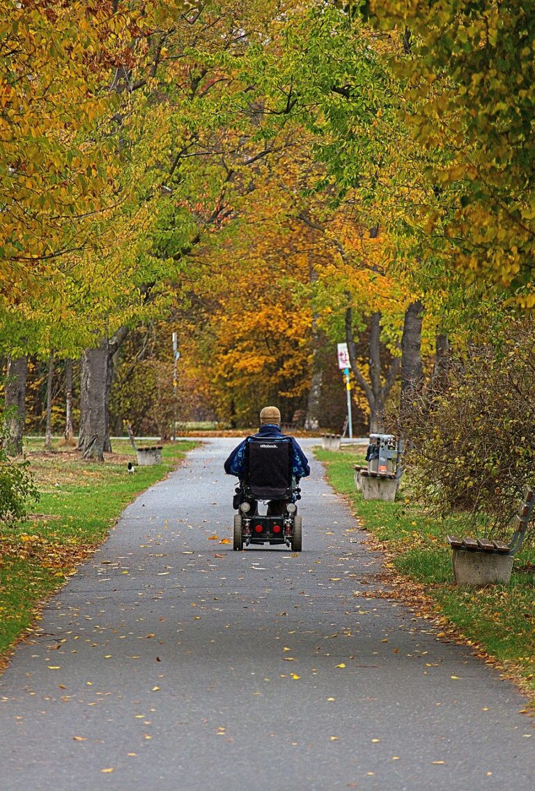 wheelchair, fall, park