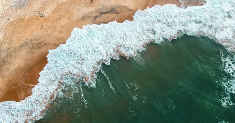 Seawaves on Sands