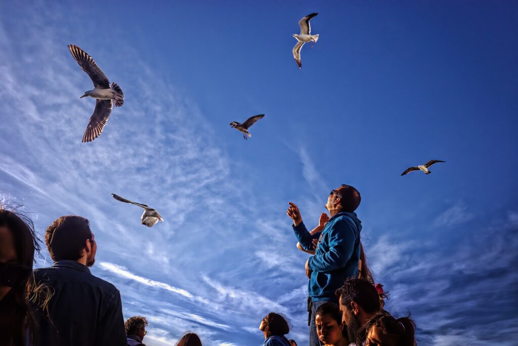 Say Goodbye to Airport Relocation Stress: The Definitive Handbook for Newark Airport 1