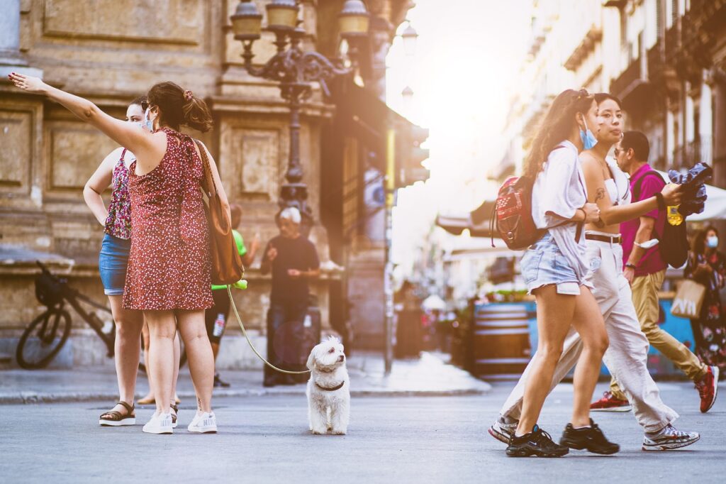 people, street, city, walking, urban, crowd, road, busy, lifestyle, friends, dog, doggy, canine, summer, cute, together, group, fun, friendship, tourists, disney, crowd, crowd, pet, nature, crowd, animal, crowd, crowd, friends, group, disney